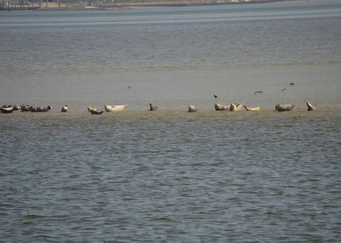 Haus Wattwurm By Interhome トッセンス